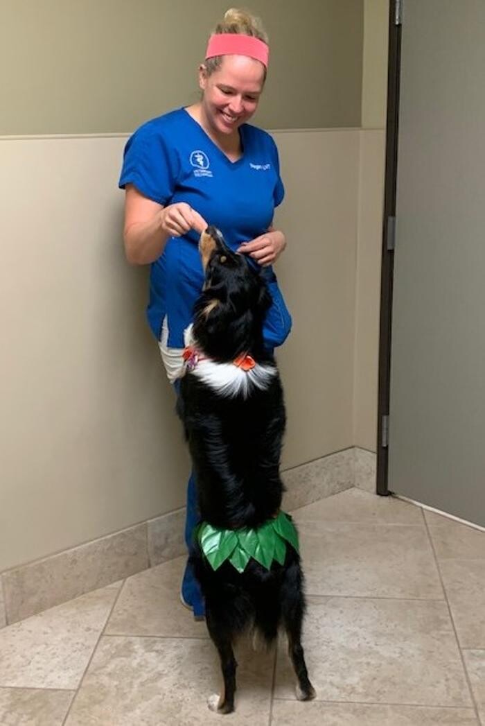 Images DePorre Veterinary Hospital