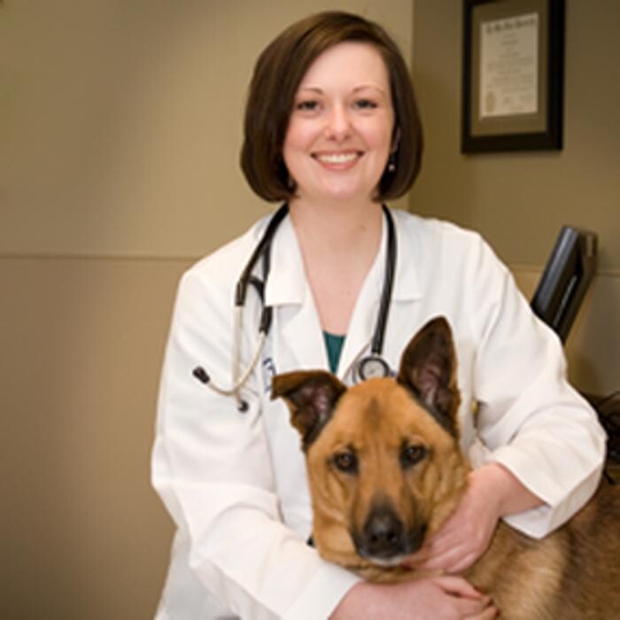 Images DePorre Veterinary Hospital