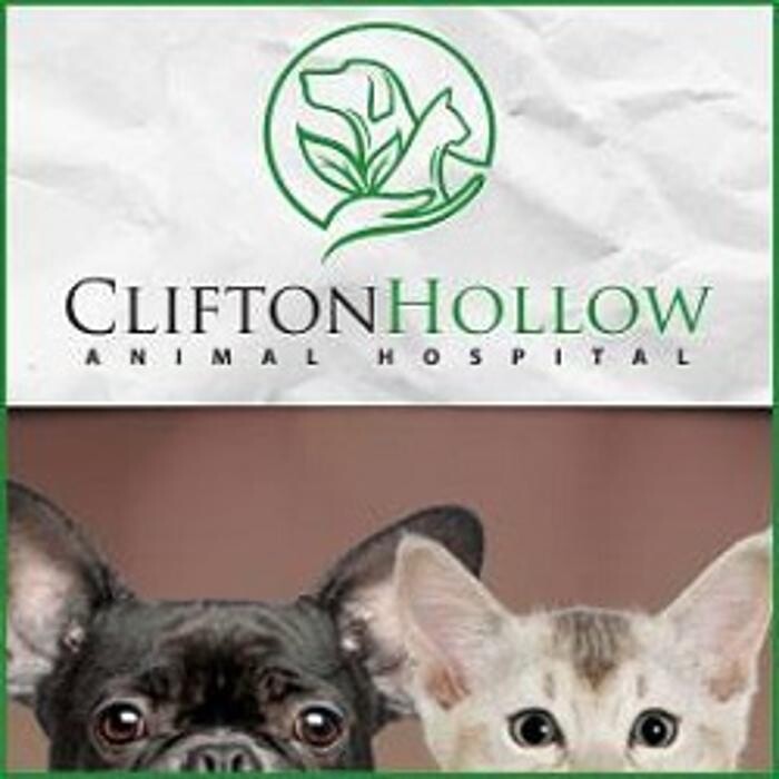 Clifton Hollow Animal Hospital Logo