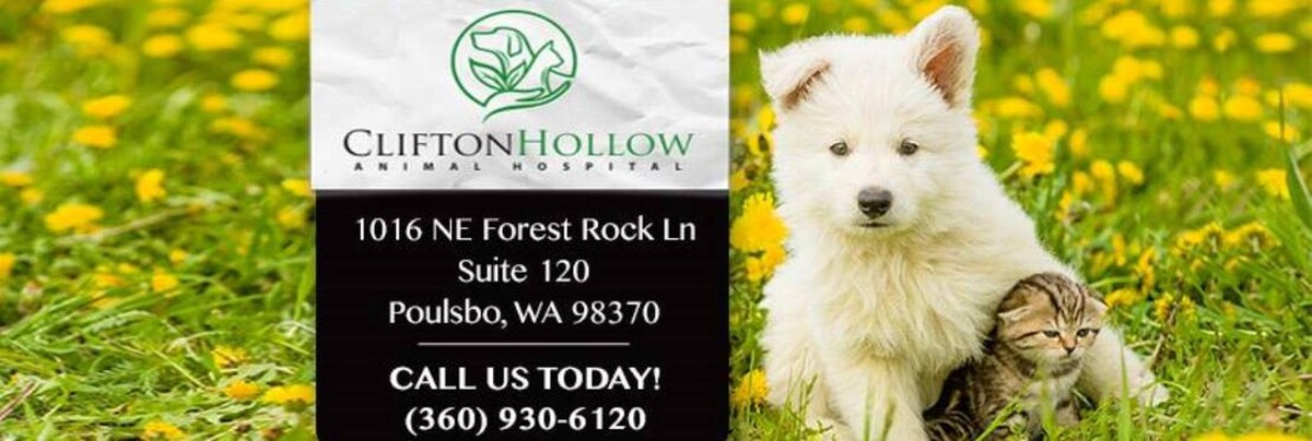 Images Clifton Hollow Animal Hospital