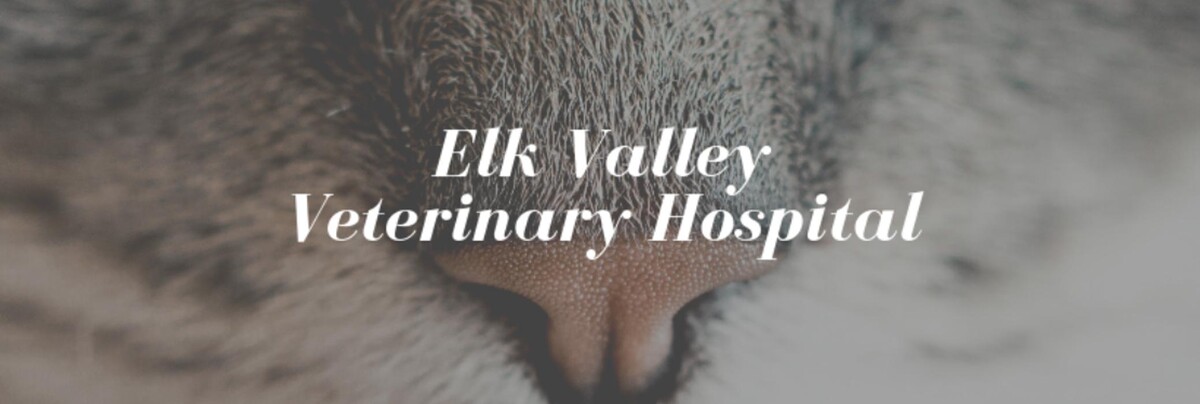 Images Elk Valley Veterinary Hospital