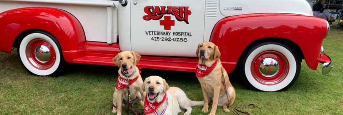 Images Salish Veterinary Hospital