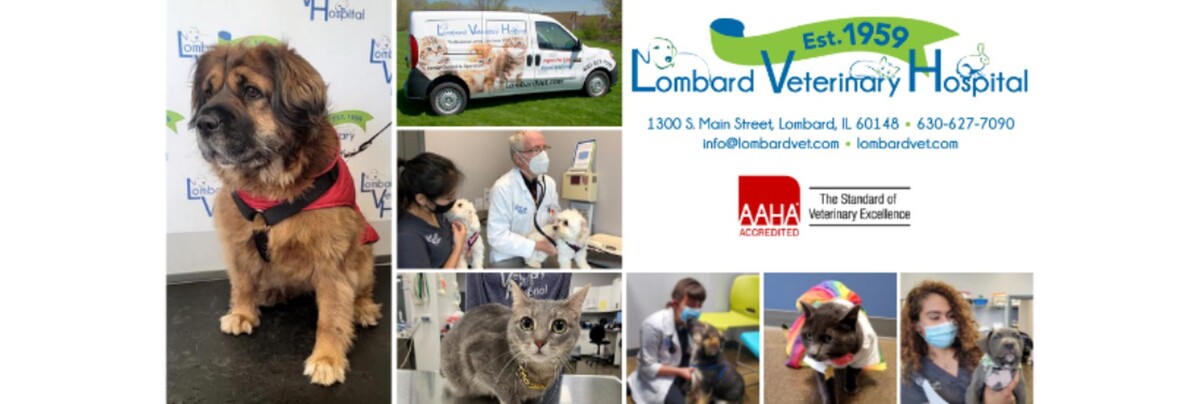 Images Lombard Veterinary Hospital