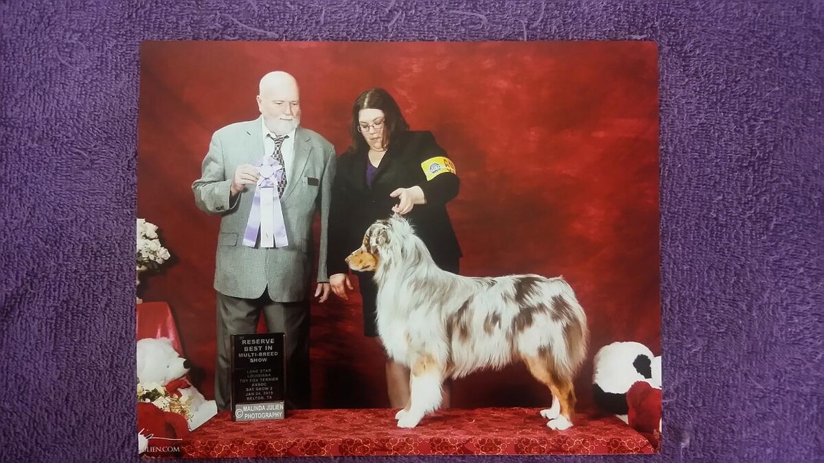 Images Justin Animal Hospital and Grooming