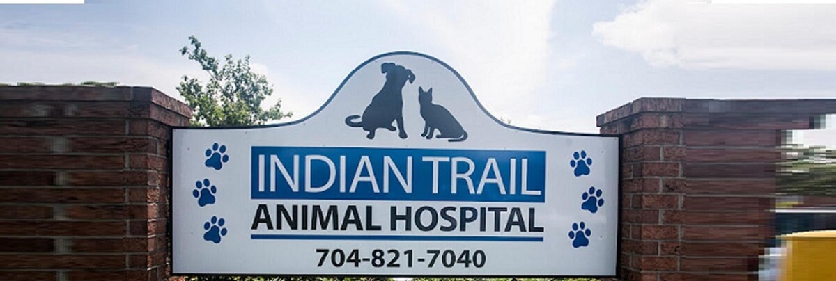 Images Indian Trail Animal Hospital