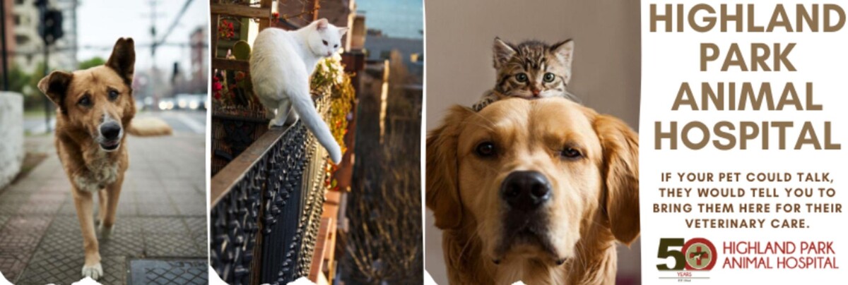 Images Highland Park Animal Hospital