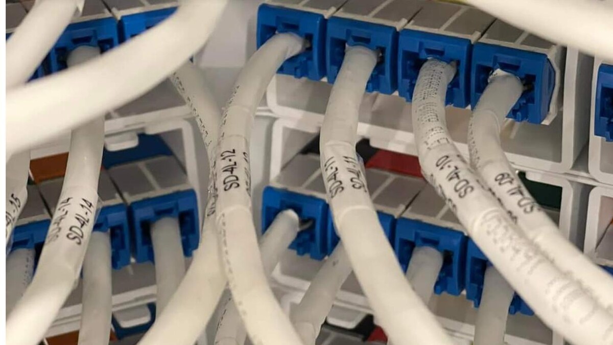 Images All Wiring Needs