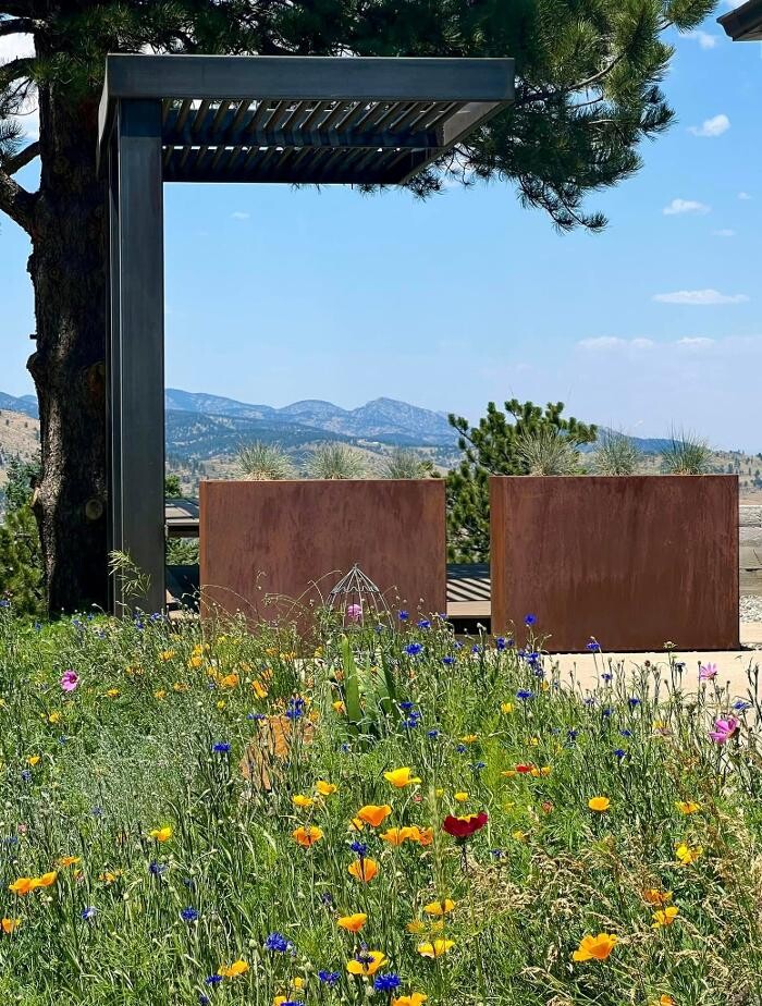 Images Alpine HomeScapes
