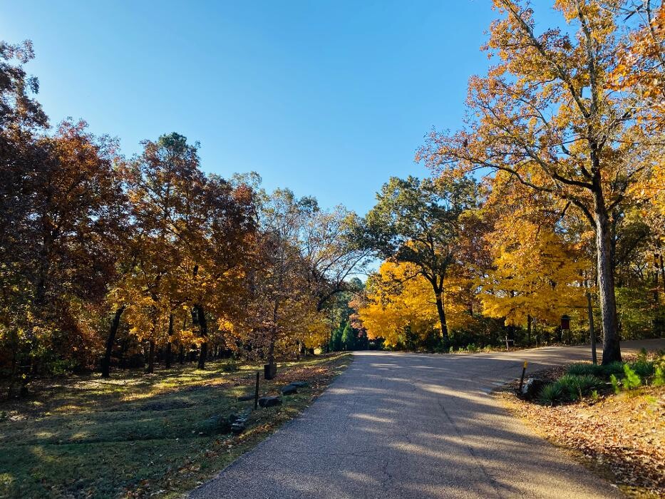 Images Julian Heat & Air