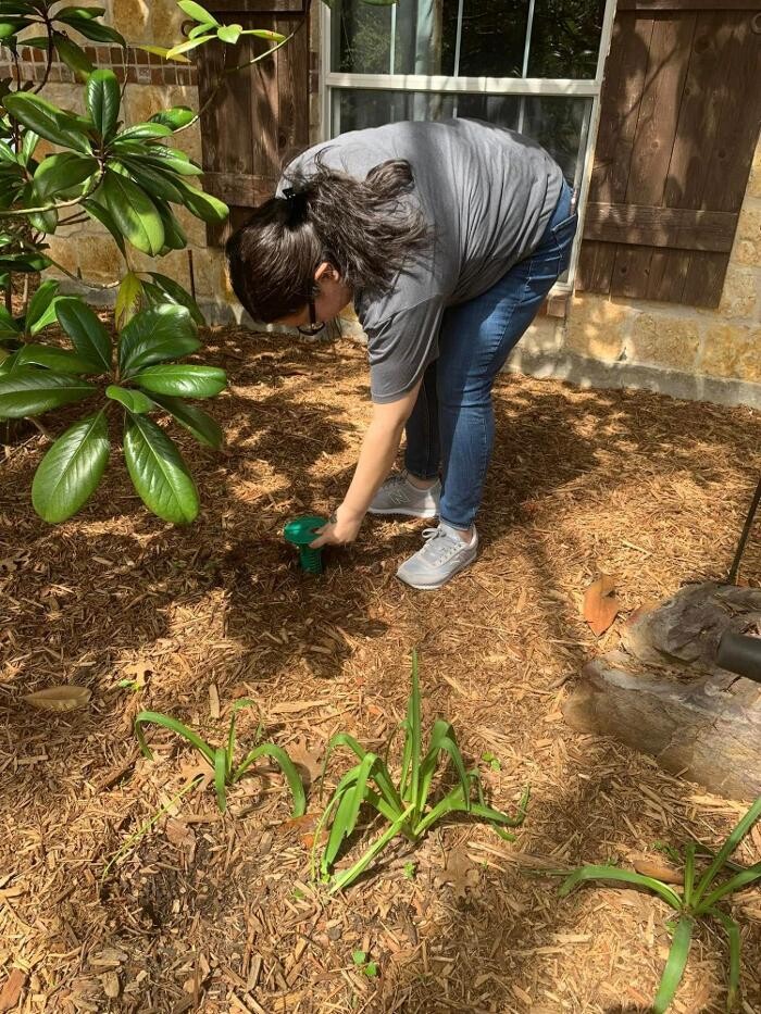 Images SafeHaven Pest Control