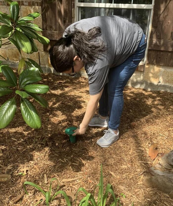 Images SafeHaven Pest Control