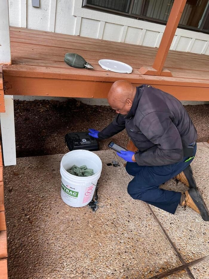 Images SafeHaven Pest Control