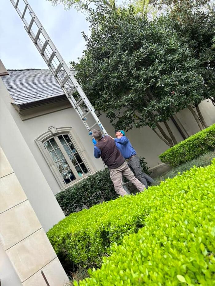 Images SafeHaven Pest Control
