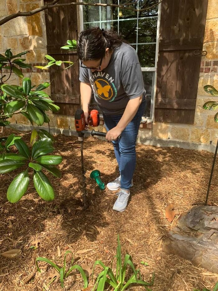 Images SafeHaven Pest Control