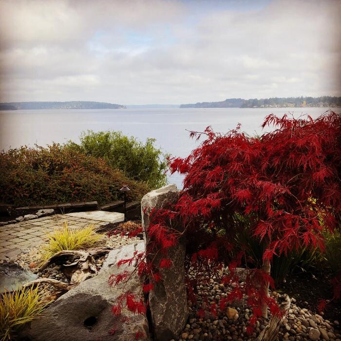 Images Oakland Bay Landscape Services, LLC