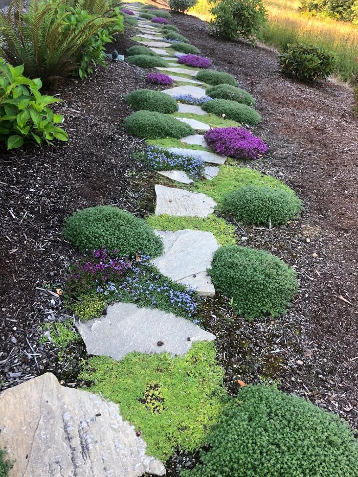 Images Oakland Bay Landscape Services, LLC