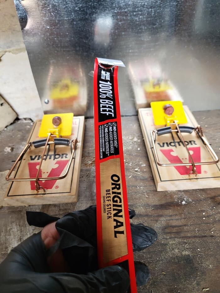 Images Pest Express LLC