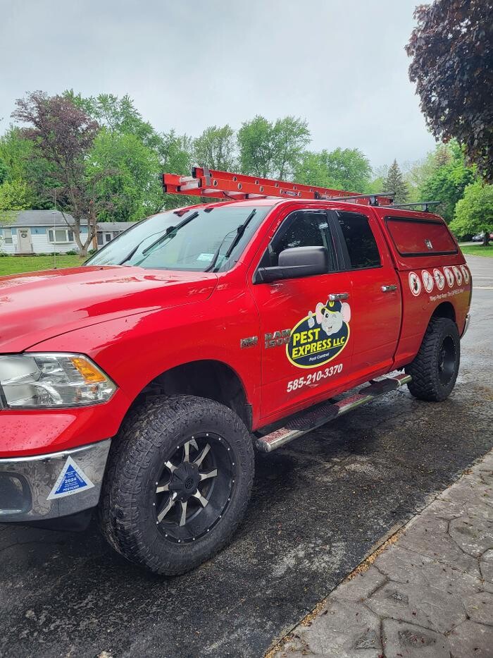 Images Pest Express LLC