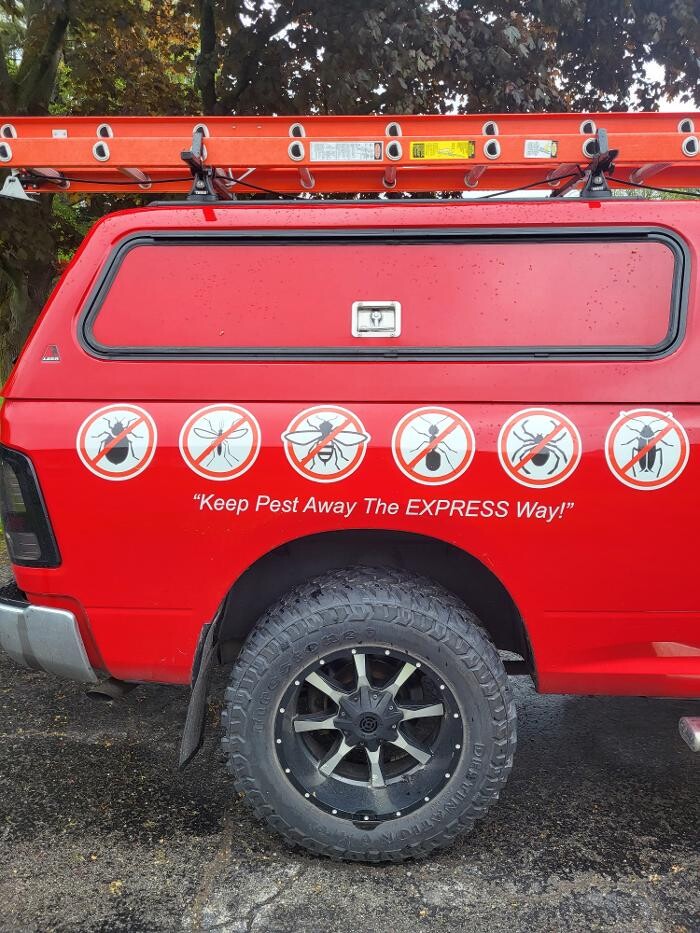 Images Pest Express LLC