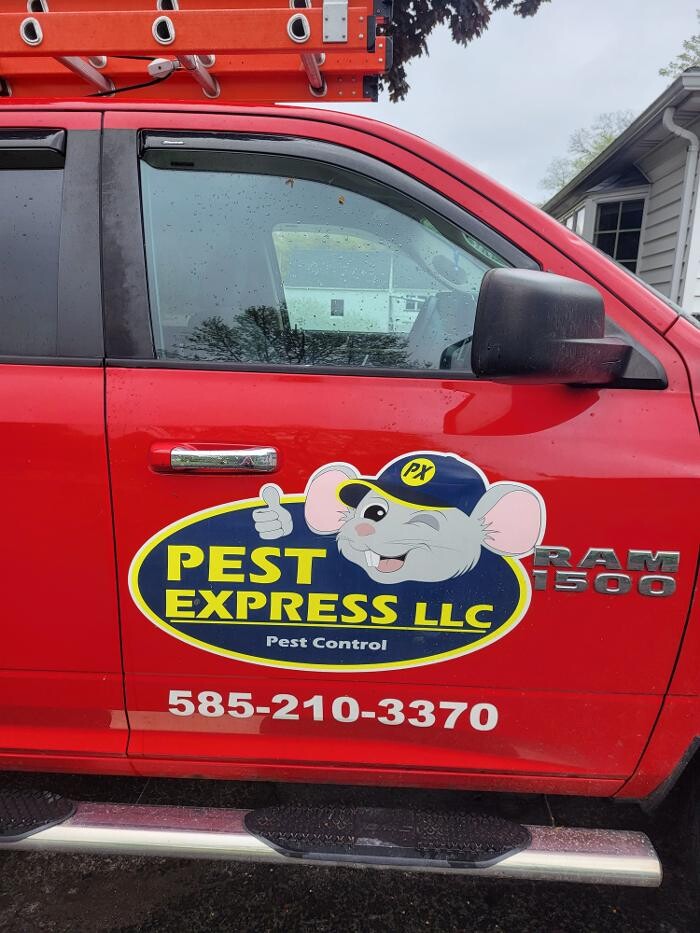 Images Pest Express LLC