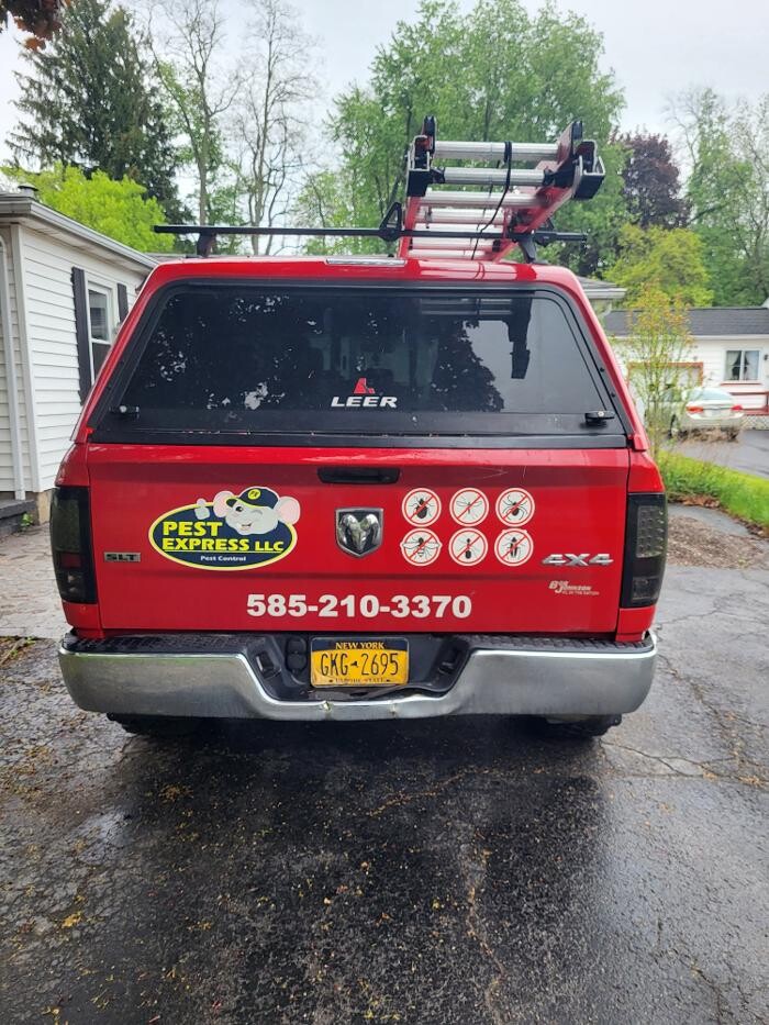 Images Pest Express LLC