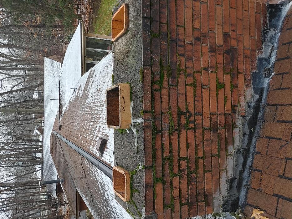 Images Pest Express LLC