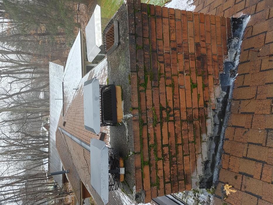 Images Pest Express LLC