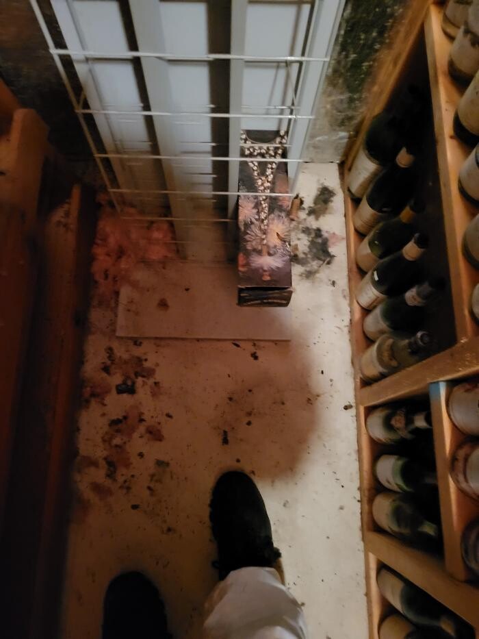 Images Pest Express LLC