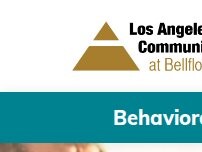 Website Screenshot Bellflower Behavioral Health Hospital