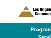 Website Screenshot Los Angeles Community Hospital
