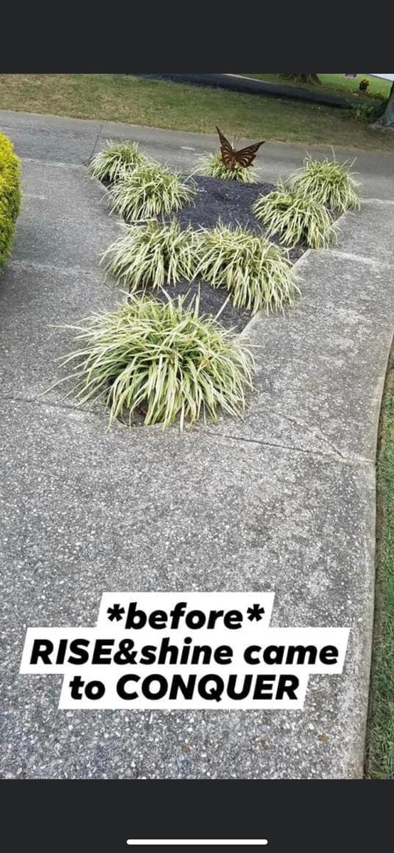 Images Rise & Shine Pressure Washing & Painting LLC