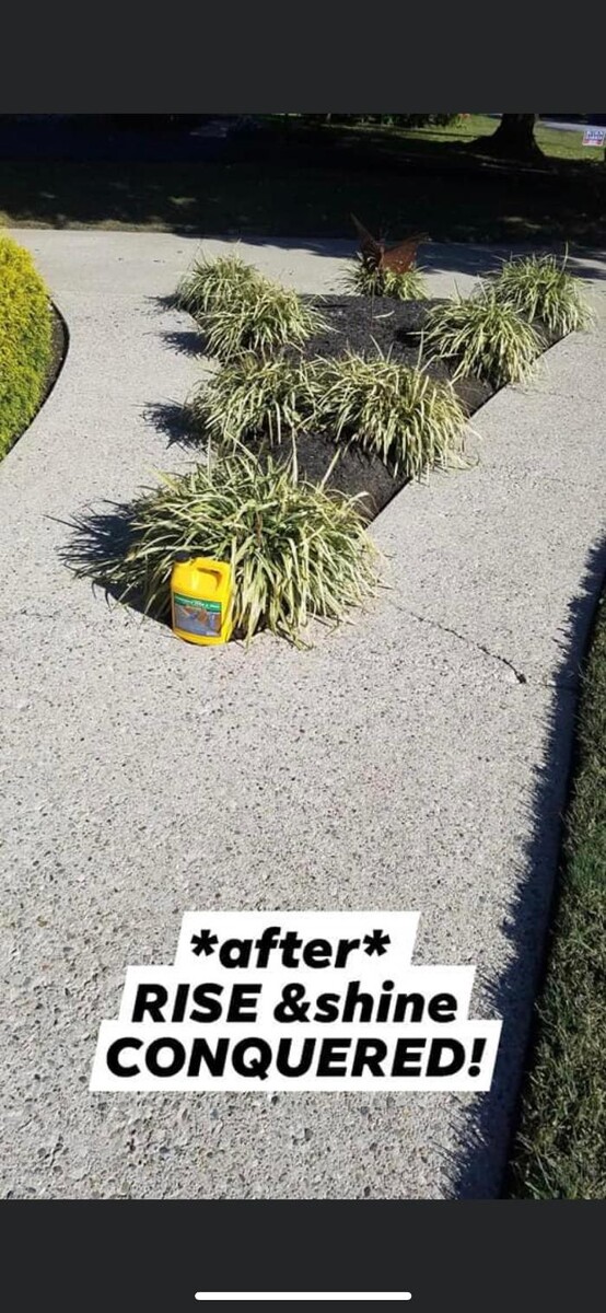 Images Rise & Shine Pressure Washing & Painting LLC