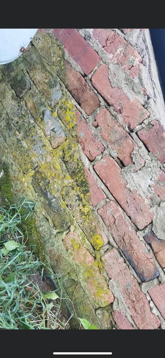 Images Rise & Shine Pressure Washing & Painting LLC