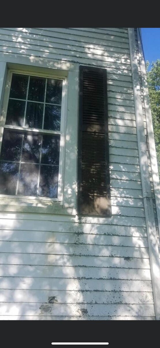 Images Rise & Shine Pressure Washing & Painting LLC