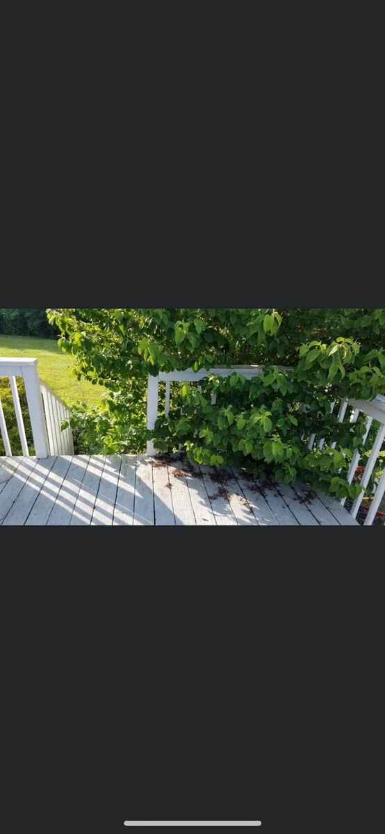 Images Rise & Shine Pressure Washing & Painting LLC