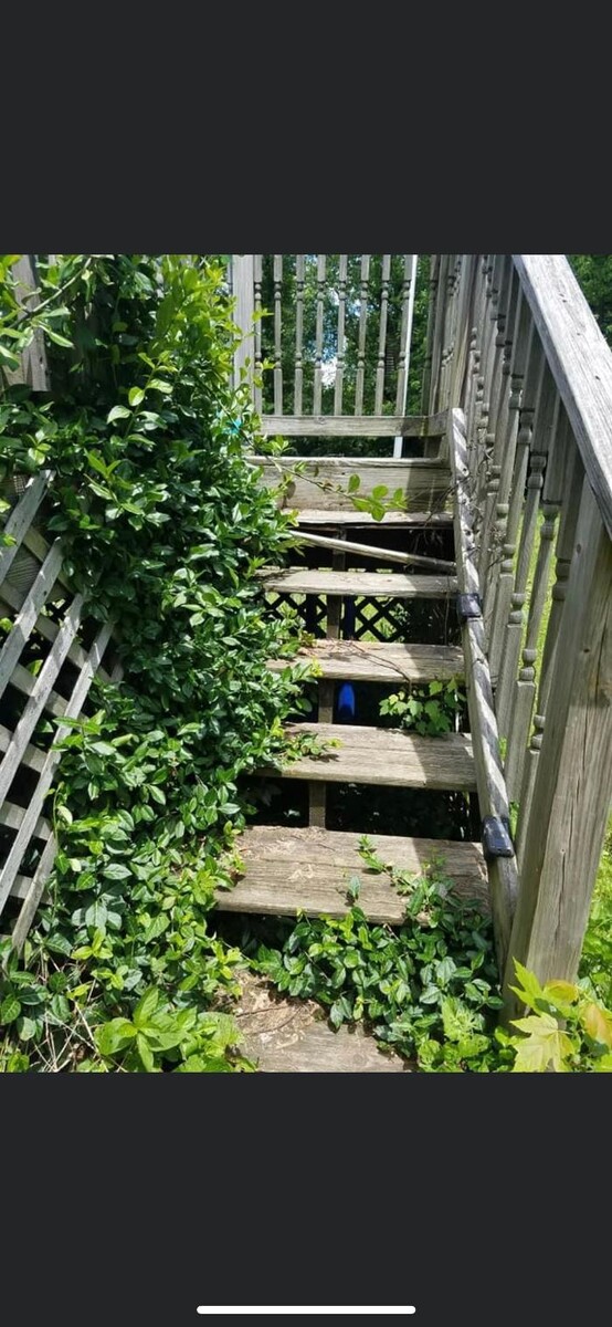 Images Rise & Shine Pressure Washing & Painting LLC