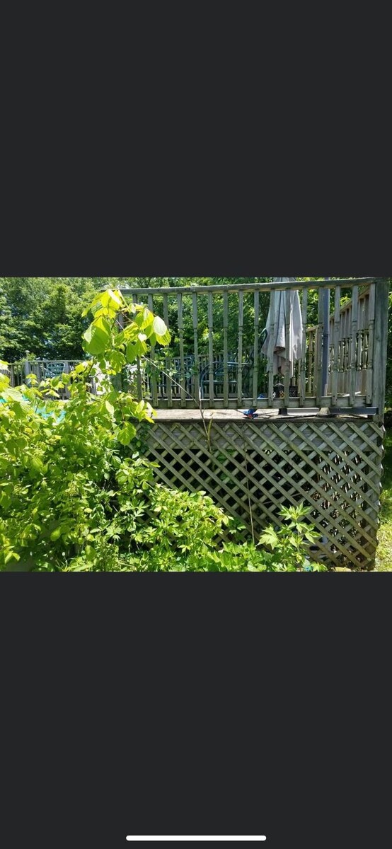 Images Rise & Shine Pressure Washing & Painting LLC