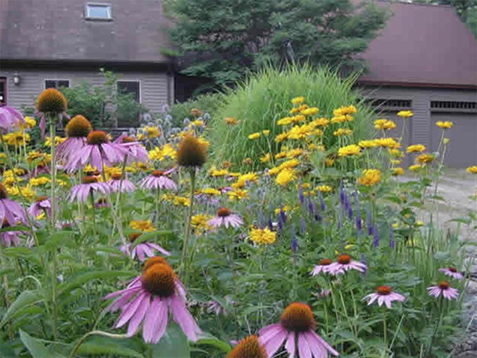 Images DeJohn Landscaping LLC