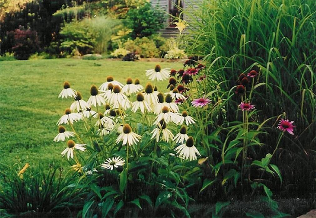Images DeJohn Landscaping LLC