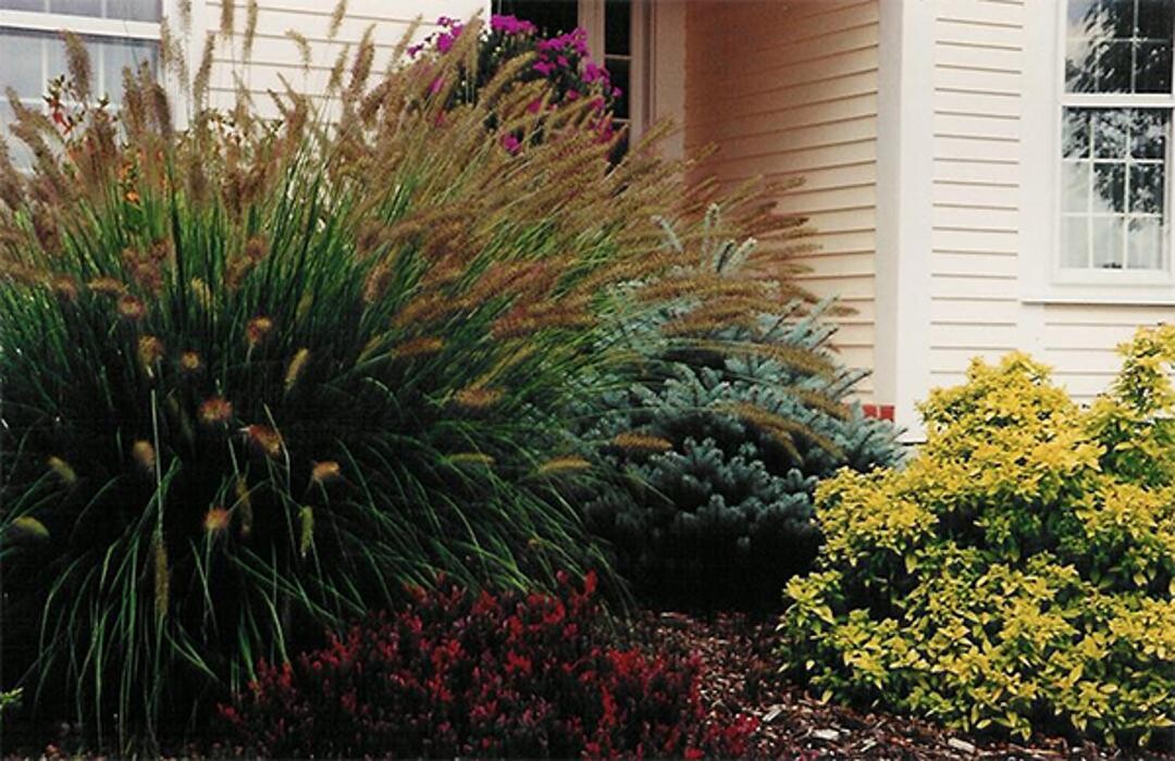 Images DeJohn Landscaping LLC