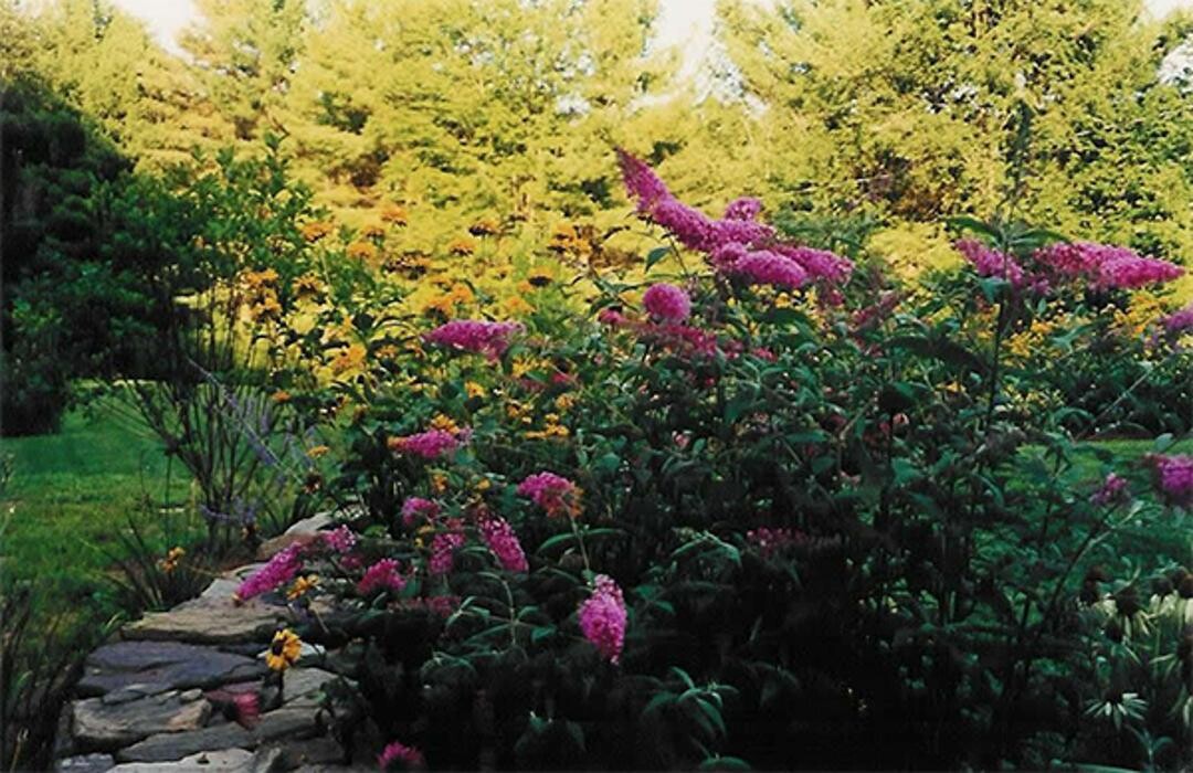 Images DeJohn Landscaping LLC