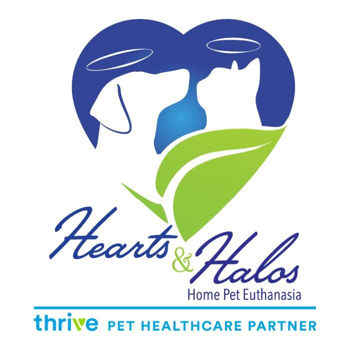 Hearts and Halos Logo
