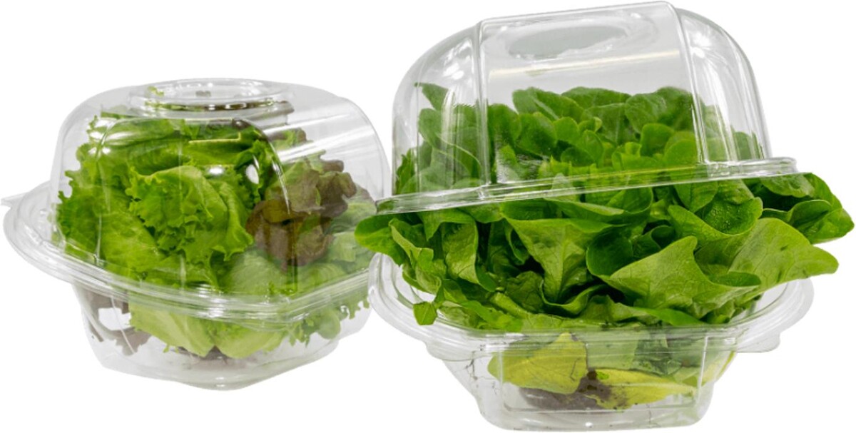 Images CJK Packaging