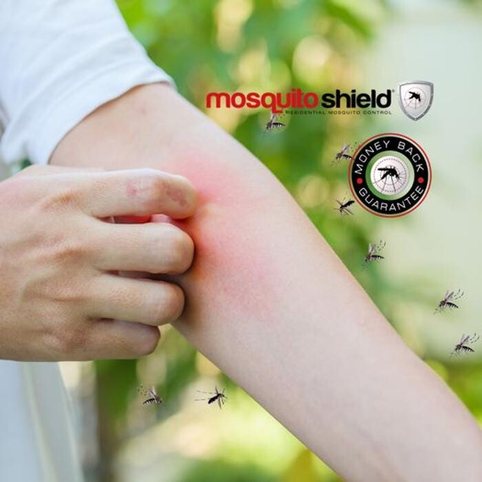 Images Mosquito Shield of East Dallas