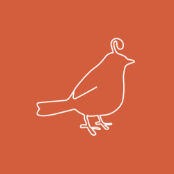 Nest DC Logo