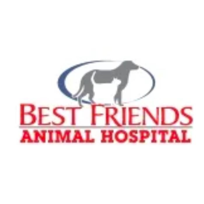 Images Best Friends Animal Hospital