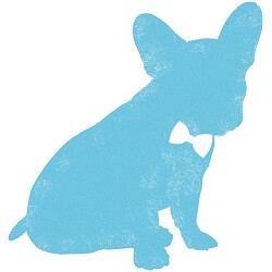 Hutch and Waldo Logo