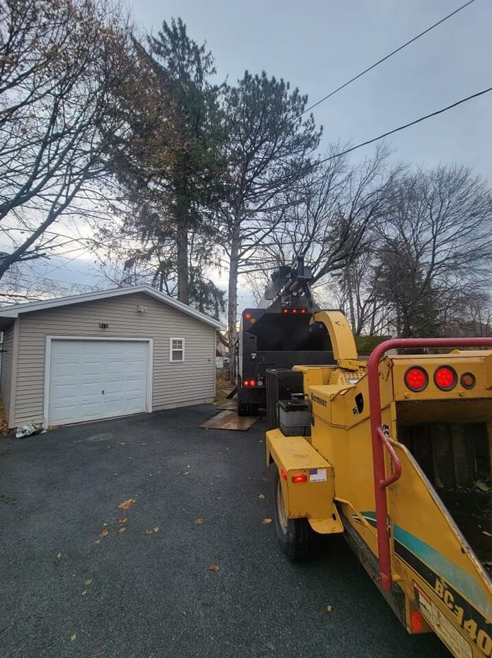 Images All Seasons Tree Services New York