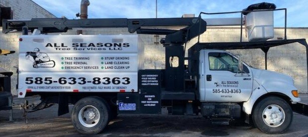 Images All Seasons Tree Services New York