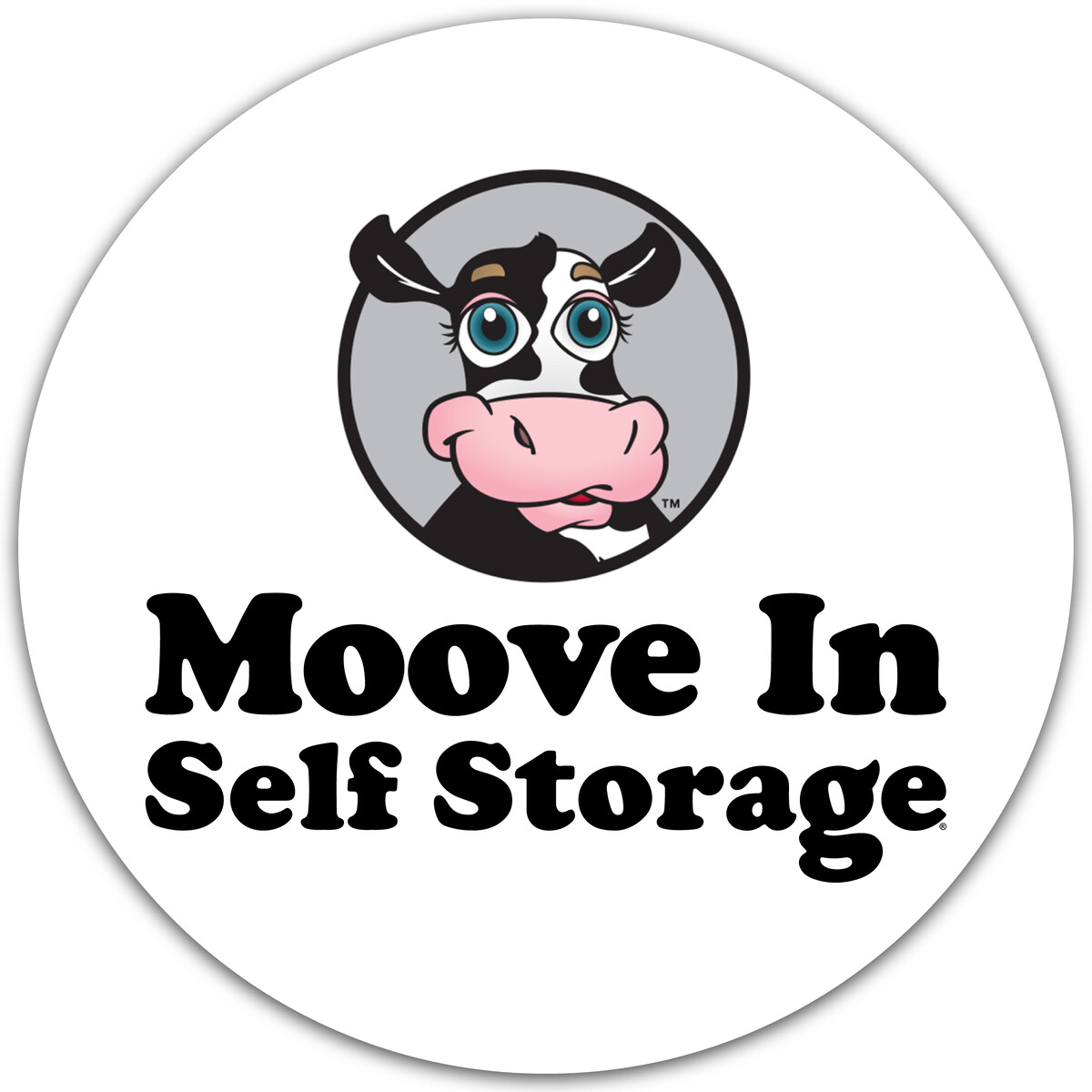 Moove In Self Storage Logo